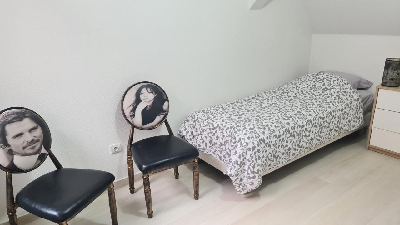 Selestat Entre Colmar Et Strasbourg Apartment Exterior foto